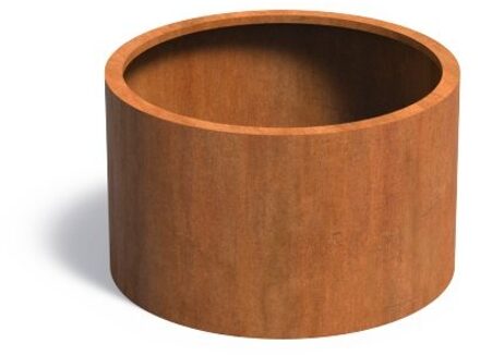 Atlas cortenstaal 100x60 cm plantenbak zonder bodem