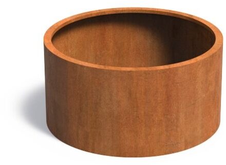 Atlas cortenstaal 120x60 cm plantenbak zonder bodem