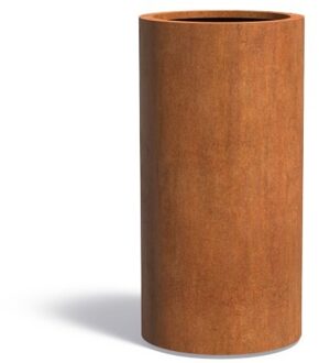 ATLAS cortenstaal 60x120 cm bloempot