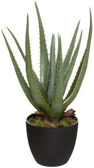 Atmosphera Aloe vera kunstplant - in pot van cement - 42 cm - Kunstplanten Groen