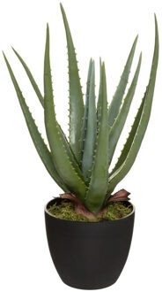 Atmosphera Aloe vera kunstplant in pot van cement 42 cm