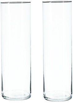 Atmosphera Bloemenvaas - 2x - cilinder vorm - transparant - glas - 15 x 40 cm