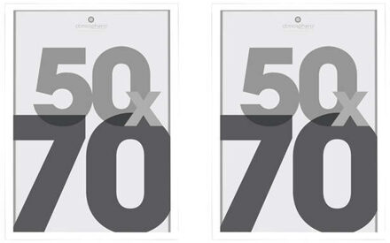 Atmosphera Fotolijstje Olympus - 2x - voor een foto van 50 x 70 cm - zilver - Kunststof/glas