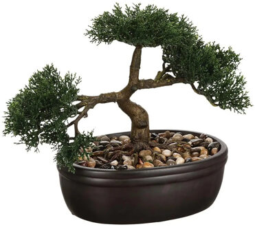 Atmosphera Kunstplant - Bonsai boom- in keramische pot - 23 cm - Kunstplanten Zwart