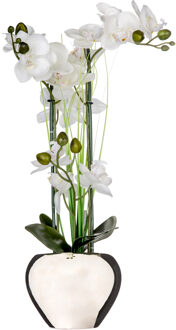 Atmosphera Orchidee bloem kunstplant - wit - H53 x B37 cm