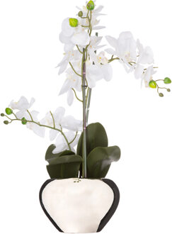Atmosphera Orchidee bloem kunstplant - wit - H56 x B40 cm