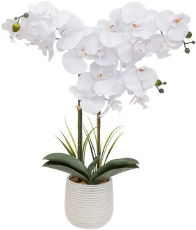 Atmosphera Orchidee bloemen kunstplant in een witte bloempot - witte bloemen - H60 cm - Kunstplanten