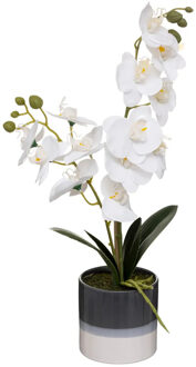 Atmosphera Orchidee bloemen kunstplant in sierlijke blauwe bloempot - witte bloemen - H45 cm - Kunstplanten