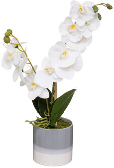 Atmosphera Orchidee bloemen kunstplant in sierlijke grijze bloempot - witte bloemen - H45 cm