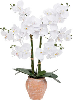 Atmosphera Orchidee bloemen kunstplant in sierlijke terracotta bloempot - witte bloemen - H65 cm - Kunstplanten