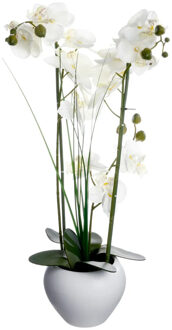 Atmosphera Orchidee bloemen kunstplant in witte bloempot - witte bloemen - H53 cm