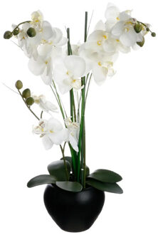 Atmosphera Orchidee bloemen kunstplant in zwarte bloempot - witte bloemen - H53 cm - Kunstplanten