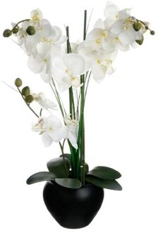 Atmosphera Orchidee bloemen kunstplant in zwarte bloempot - witte bloemen - H53 cm - Kunstplanten