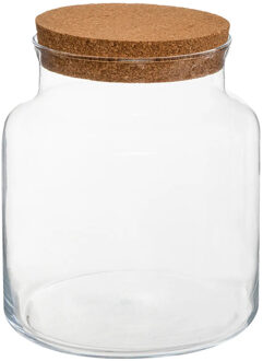 Atmosphera Pot/vaas van glas voor planten ecosysteem - deksel kurk- D18 x H21 cm - terrarium