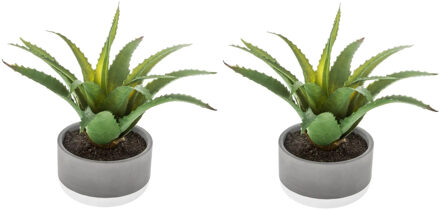 Atmosphera Set van 2x stuks atmosphera kunstplanten in pot van cement 22 cm - Kunstplanten Groen