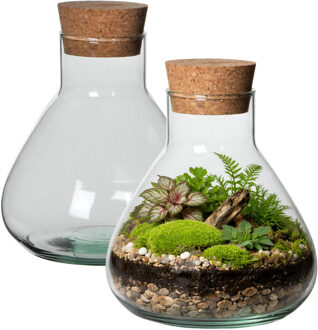 Atmosphera Vaas Terrarium - 2x - rond - met kurk - glas - D22.5 x H24 cm - transparant - kurk dop