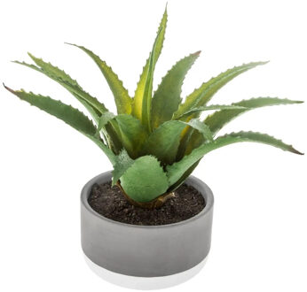 Atmosphera vetplant kunstplant in pot van cement 22 cm - Kunstplanten Groen