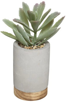 Atmosphera vetplant kunstplant in pot van cement grijs 20 cm