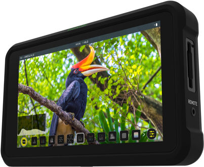 Atomos Shinobi - OUTLET