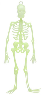 Atosa Halloween/horror thema hang decoraties - 1x stuks - skeletten - glow in the dark - 30 cm