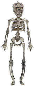 Atosa Halloween/horror thema hang decoraties - 1x stuks - skeletten - in vergane staat - 30 cm