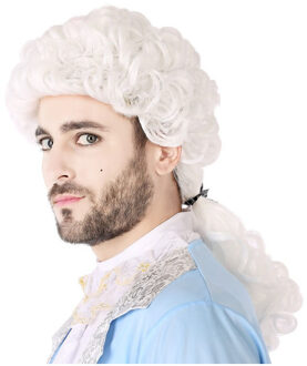 Atosa Heren pruik lakei barok middeleeuwen wit - carnaval - hoge kuif - staartje