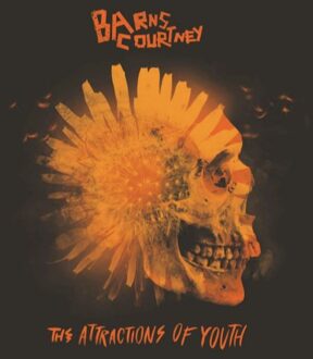 Attractions Of Youth