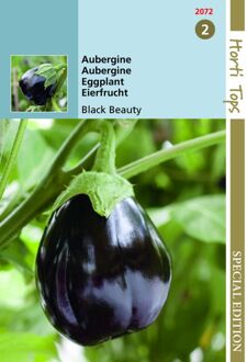 Aubergine Black Beauty 1 gram