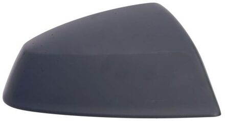 Audi Afdekking, buitenspiegel 6103251875313P