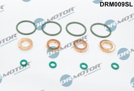 Audi Afdichting, Injector/Verstuiver DRM009SL