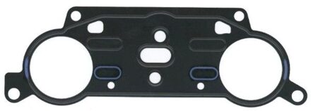 Audi Afdichting, nokkenasverstelling 744342