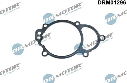 Audi Afdichting, nokkenasverstelling DRM01296