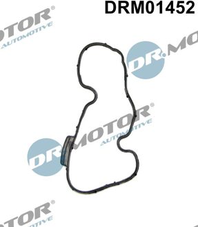 Audi Afdichting, nokkenasverstelling DRM01452