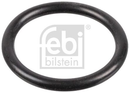 Audi afdichtring 172220