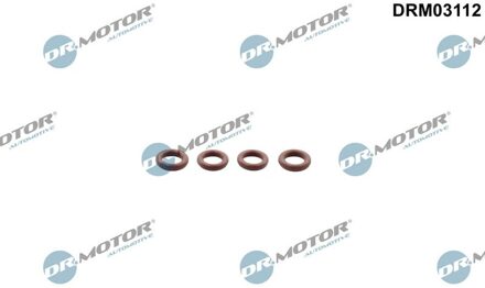 Audi Afdichtring, injectieklep DRM03112