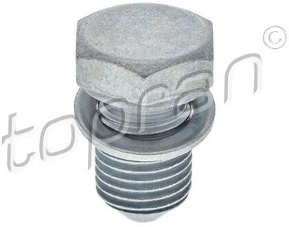 Audi Afsluitschroef, oliepan 109035