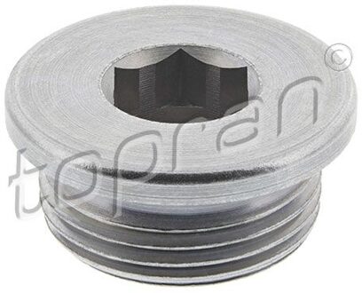 Audi Afsluitschroef, oliepan 119701