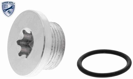 Audi Afsluitschroef, versnellingsbakbehuizing V105598