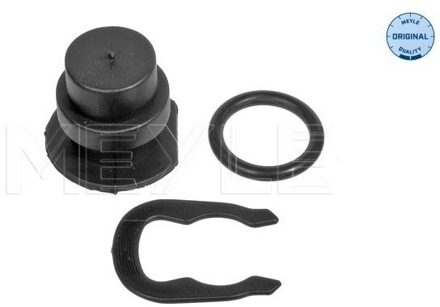 Audi Afsluitstop, koelmiddelflens 1001210080