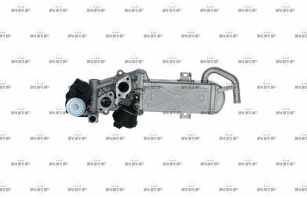 Audi AGR modul 48213