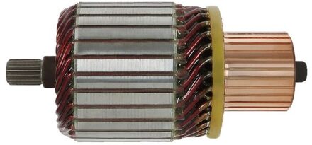 Audi Anker, starter SA0103