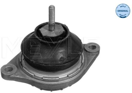 Audi Aslichaam-/motorsteunlager 1001990049