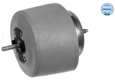 Audi Aslichaam-/motorsteunlager 1001990083