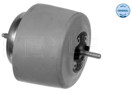 Audi Aslichaam-/motorsteunlager 1001990084