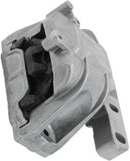 Audi Aslichaam-/motorsteunlager 1001990113