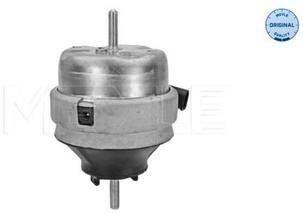 Audi Aslichaam-/motorsteunlager 1001990134