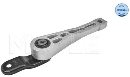 Audi Aslichaam-/motorsteunlager 1001990168