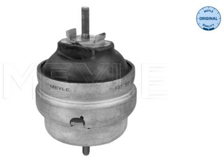 Audi Aslichaam-/motorsteunlager 1001990179