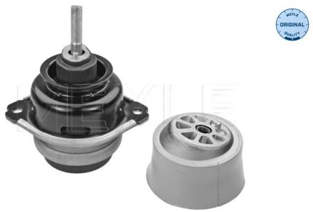 Audi Aslichaam-/motorsteunlager 1001990185