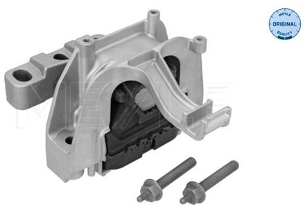 Audi Aslichaam-/motorsteunlager 1001990206